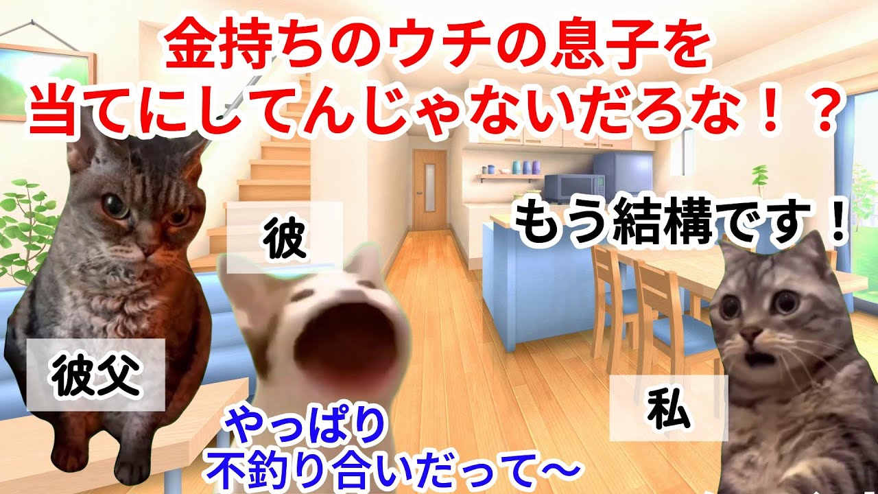 【スカッと猫ミーム】貧乏な奴とは結婚を認めないと言われ数分後高級車で父が登場！#猫マニ #猫ミーム