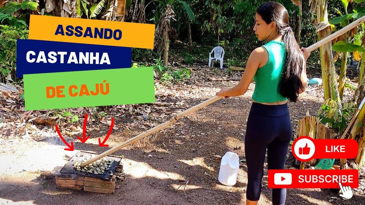 VÍDEO 17/ASSANDO CASTANHA DE CAJÚ/COMUNIDADE DE GUAJARÁ/VIDA REAL/COSTUMES RIBEIRINHOS