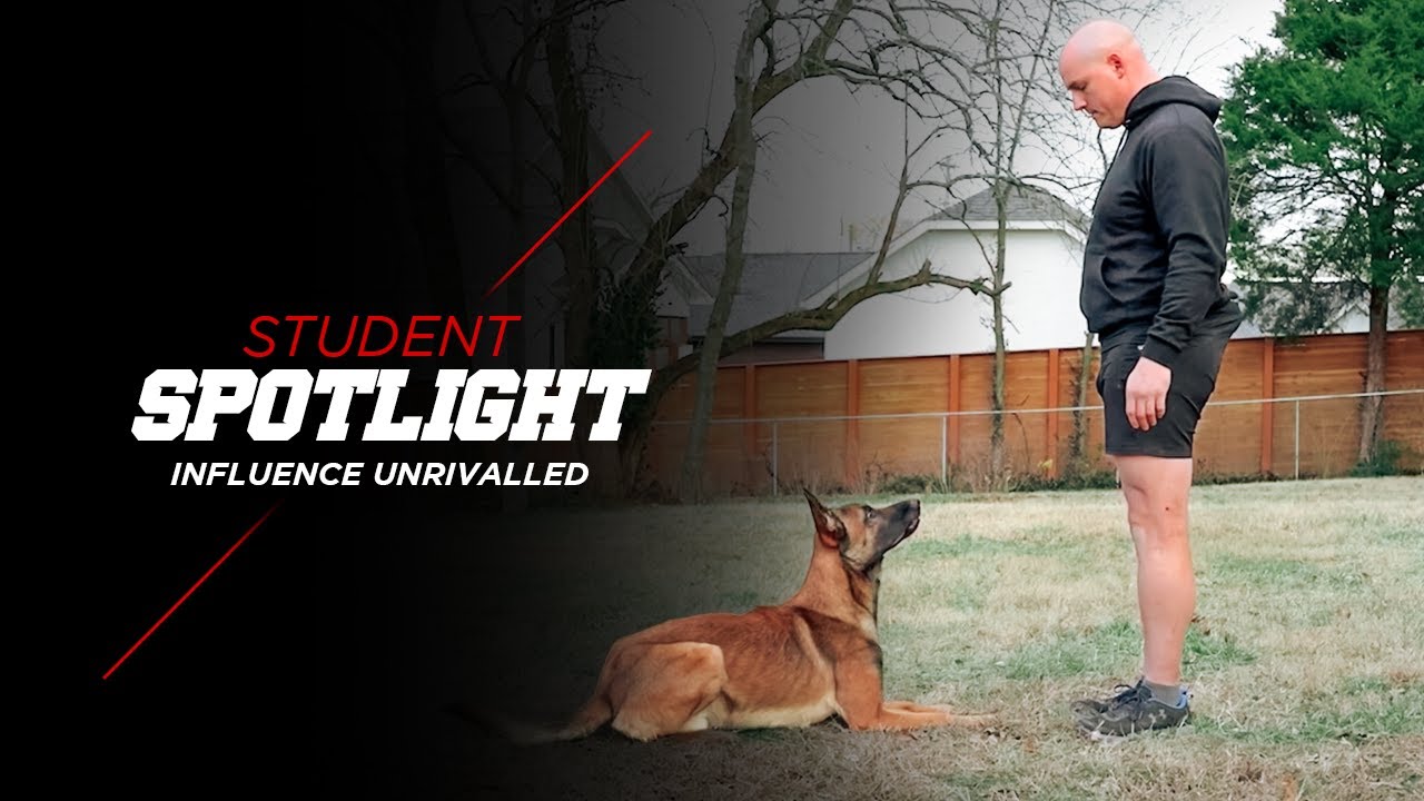 STSK9's Most Influential Student: Matt Folson | Modern Malinois