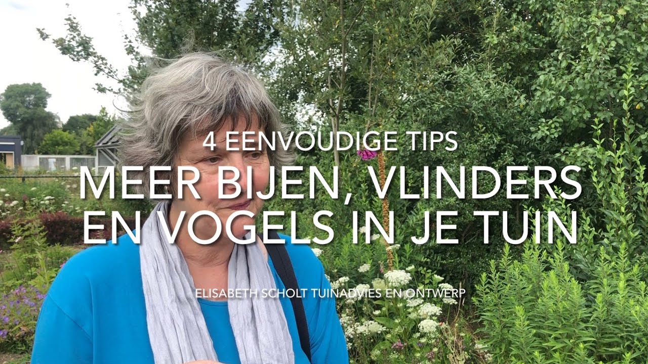 Vier eenvoudige tips voor meer bijen, vlinders en vogels in je tuin