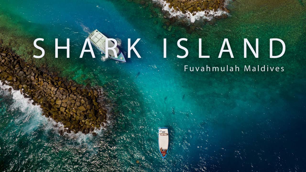 Shark Island - Fuvahmulah