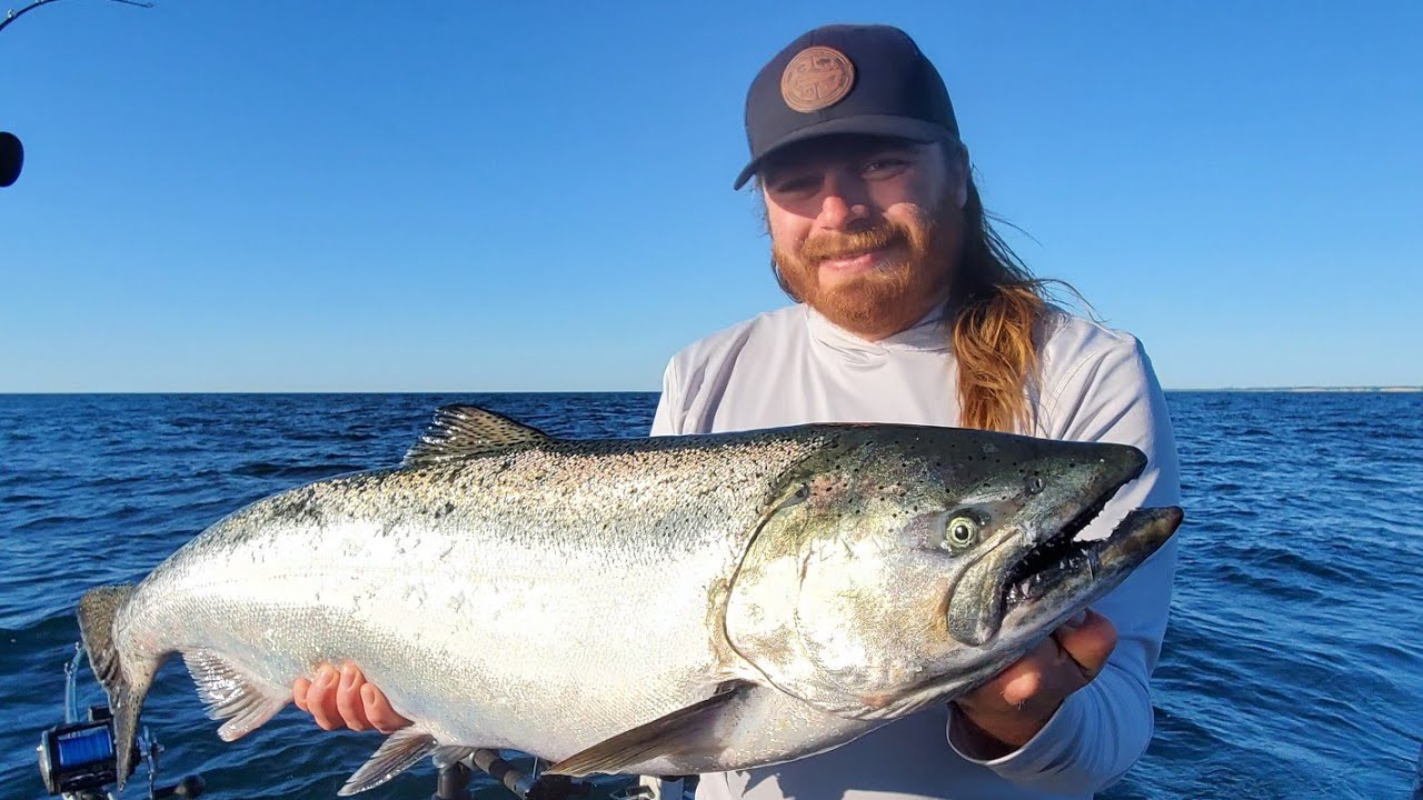 ПЕРВЫЙ КОРОЛЬ СЕЗОНА — Salmon Slam на озере Мичиган