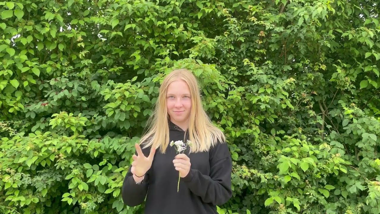 Videotricks Projektwoche OSZ Täuffelen 2024