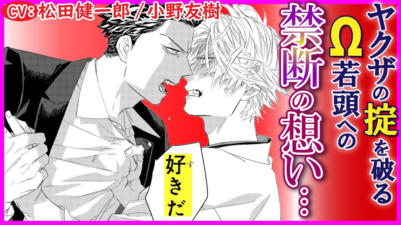 極道オメガバース💛若頭Ωと付き人αの許されない関係…強制ヒート中に告白してーー【オメガの婿取り5】【松田健一郎／小野友樹】
