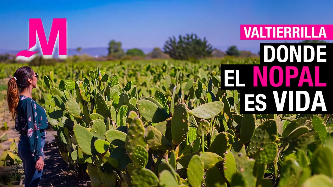 VALTIERRILLA: LA CAPITAL MUNDIAL DEL NOPAL