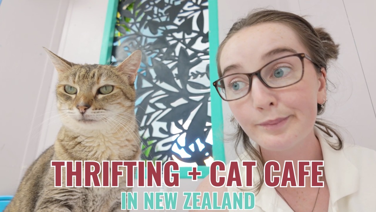 Come Thrifting and to A Cat Cafe in New Zealand with Me