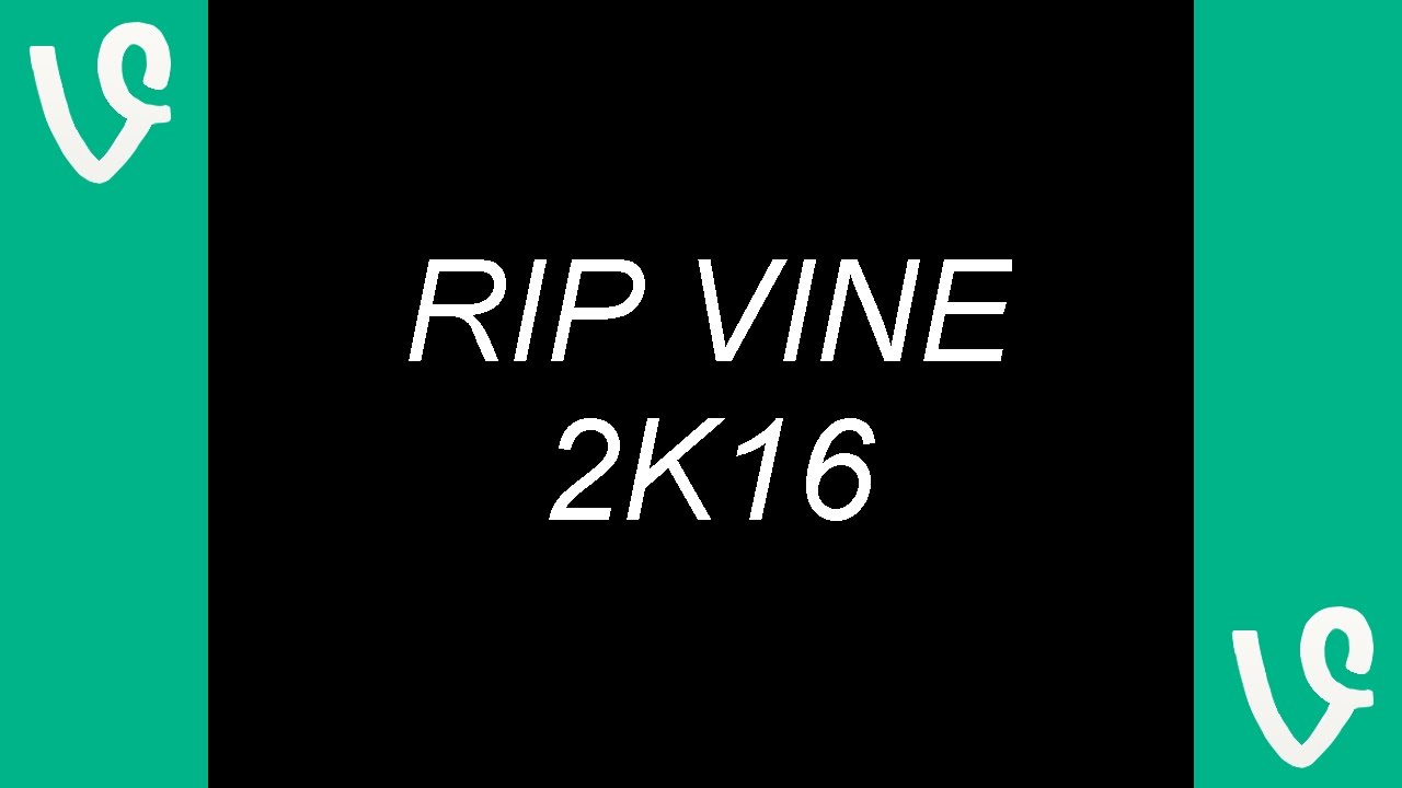 my favorite lgbt vines