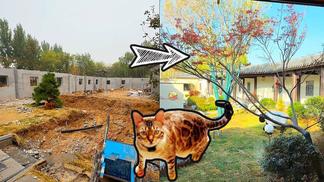 猫咪小院的改造【合集下】小胖是个傻白甜，见谁都是好人！幸好拖把还可靠一点！