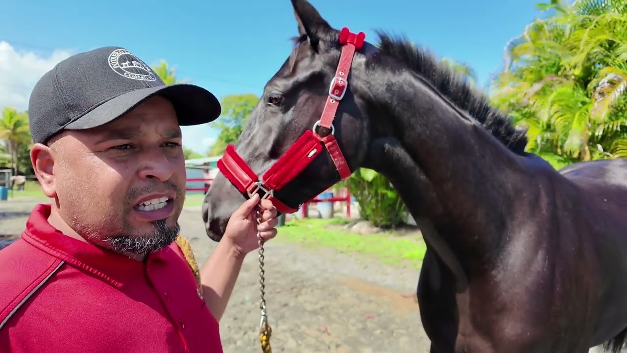 EDWIN TEXIDOR, JR - Sobre My First Legacy, Sugar Boy y El Cura - 27 Enero 2026