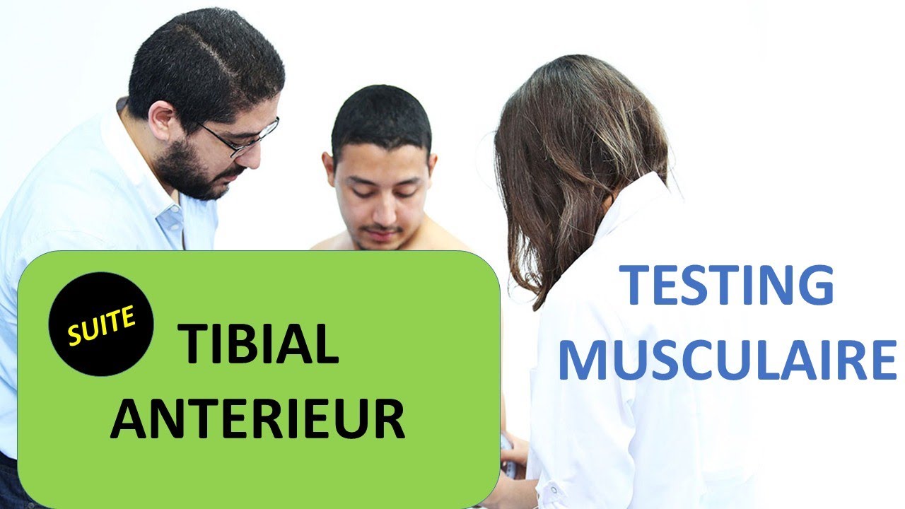TESTING MUSCULAIRE DU TIBIAL ANTÉRIEUR  PAR YASSIR BELKHADI