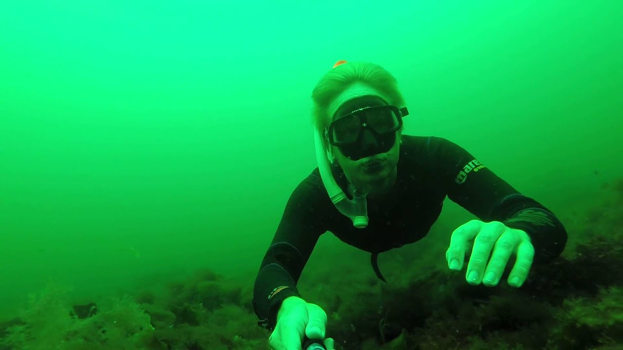 Nasty jellyfish at Ransvik