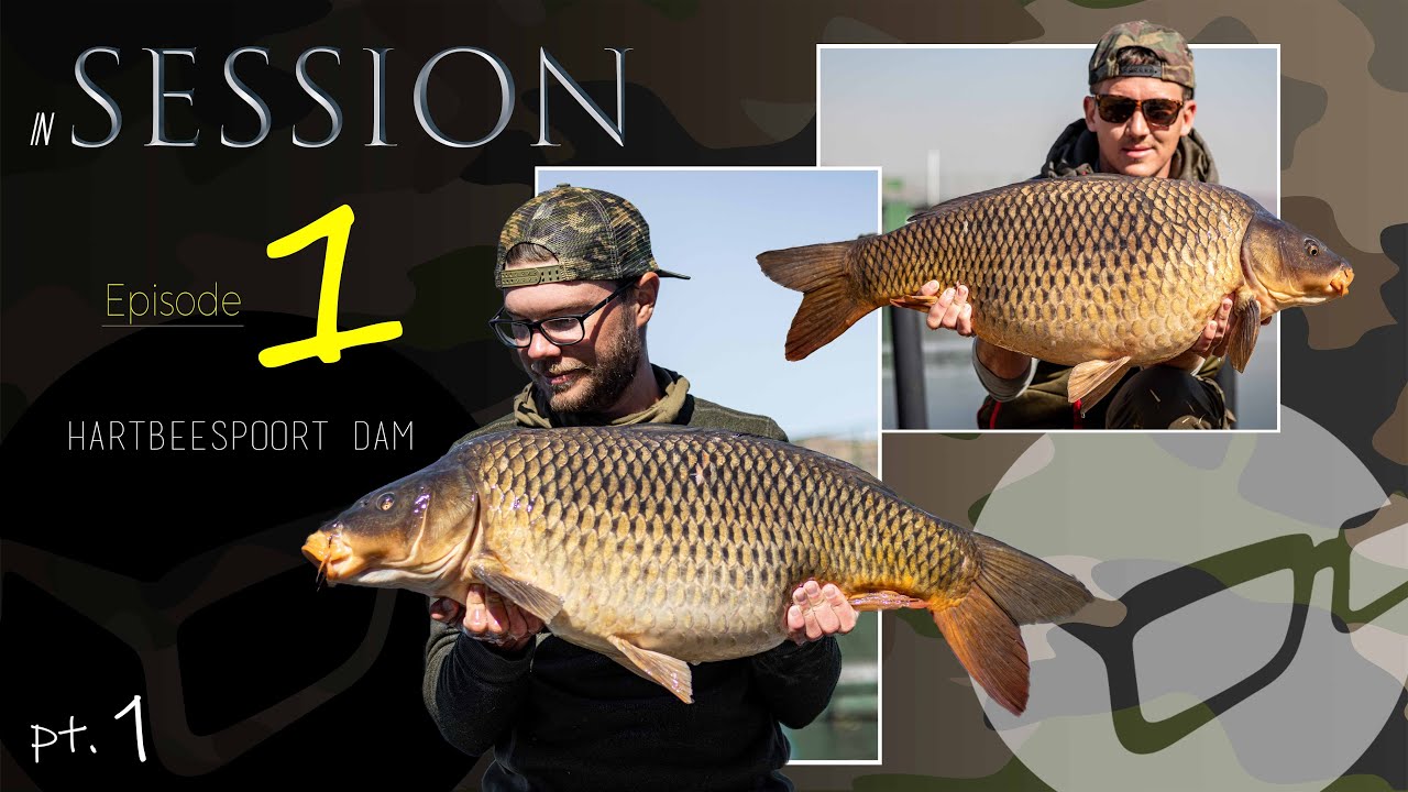 CARP FISHING SOUTH AFRICA | Hartbeespoort Dam - big hit fishing!