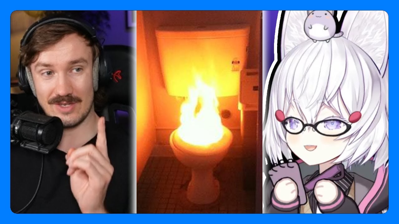 The handicapped toilet experience