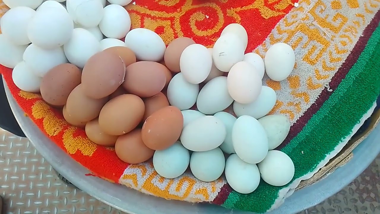 Famous Duck Egg & Deshi Chicken at Chandpur Launch Ghat 🔥 | Mustard Oil Special