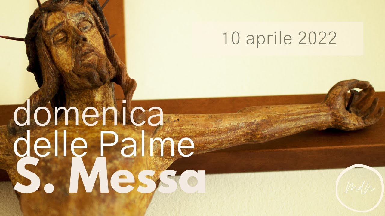 Santa Messa in diretta streaming - Domenica delle Palme