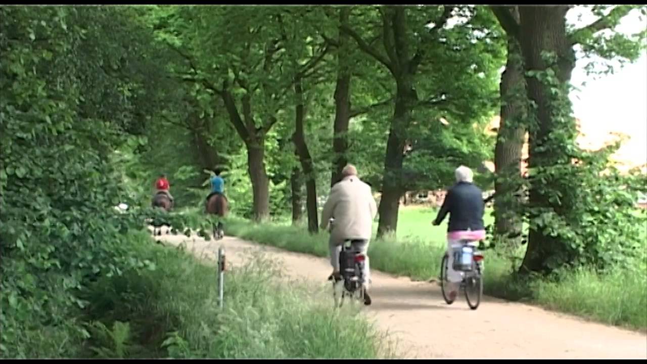 Vakantiepark den Mollenhof Winterswijk