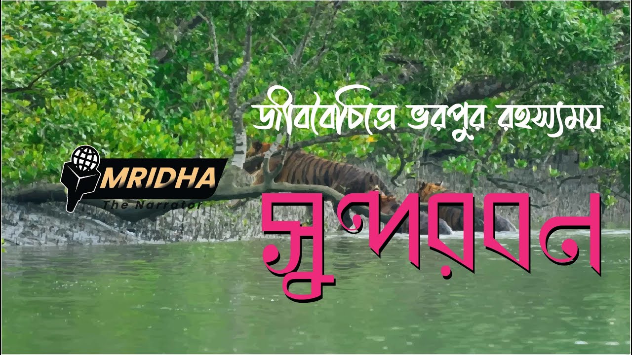 জীববৈচিত্রে ভরপুর, রহস্যময় সুন্দরবন