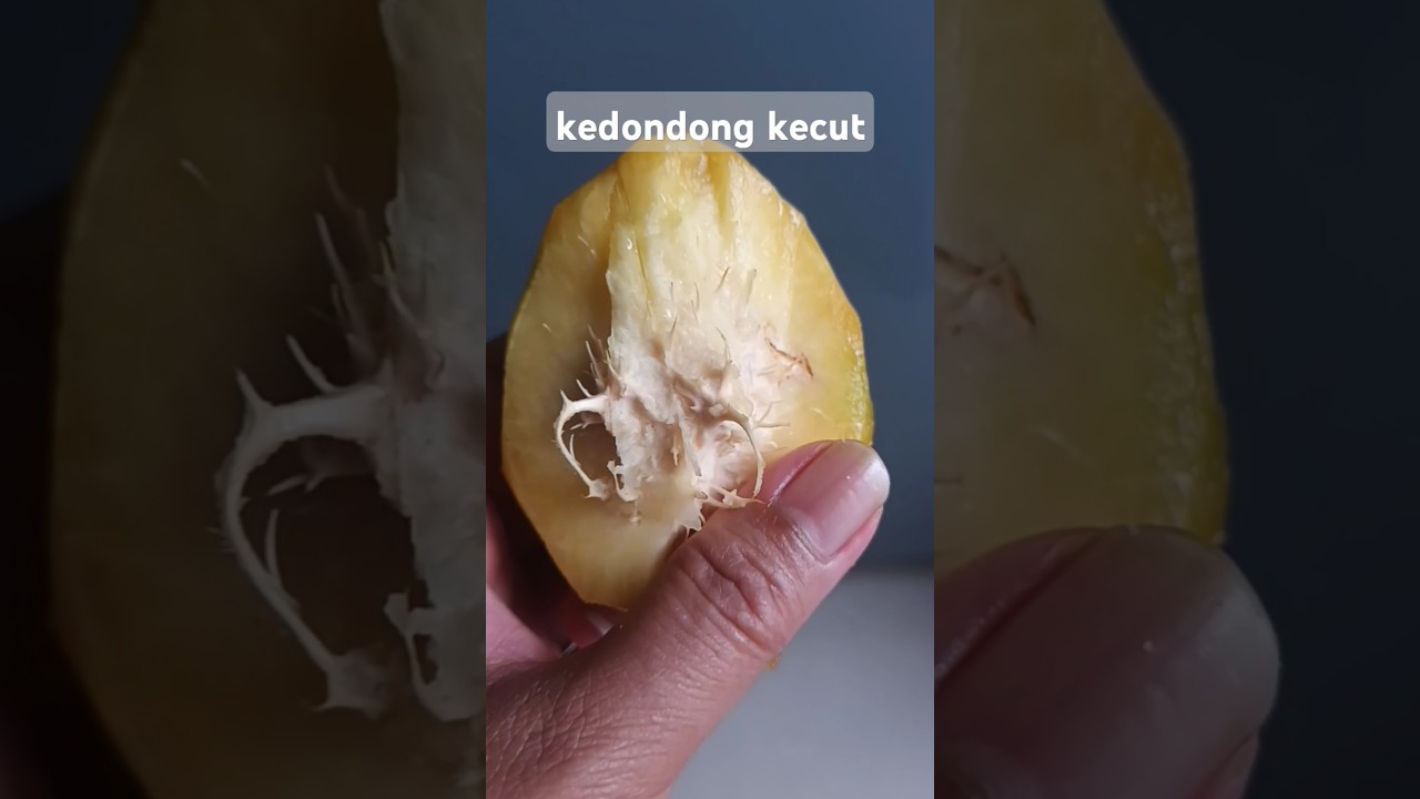 buah kedondong  berserat #shorts #shortsvideo #aifulover