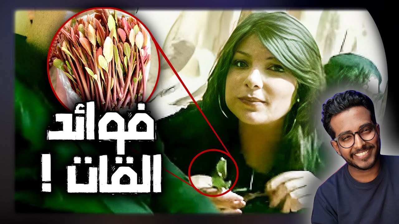 فوائد القات !!