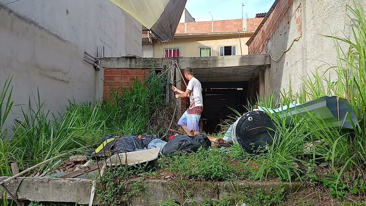Primeira revoada do ano 2026 solar  tut RJ e SP 