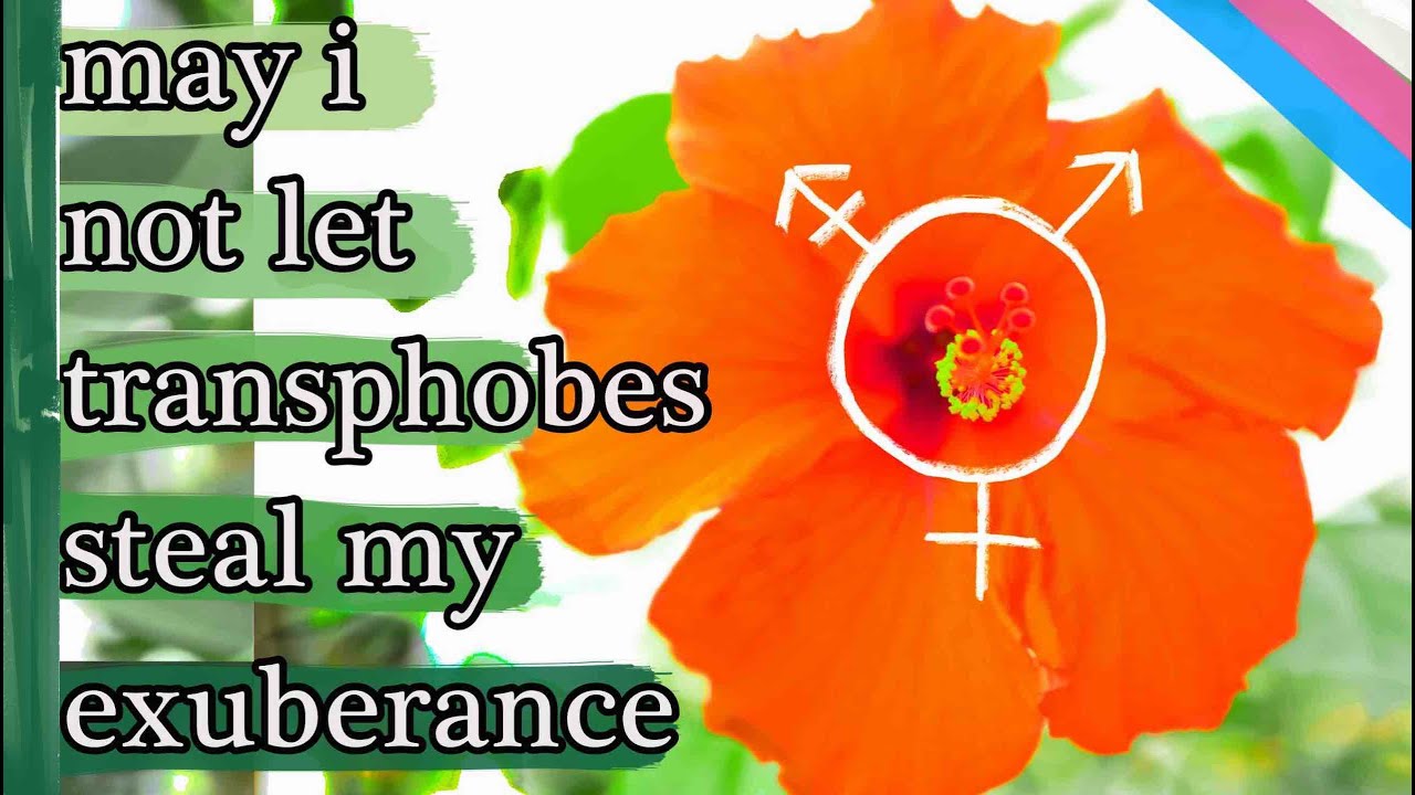 Transgender & Nonbinary Mindfulness | 20 Affirmations | Befriending Trans Identity | Nonbinary Pride