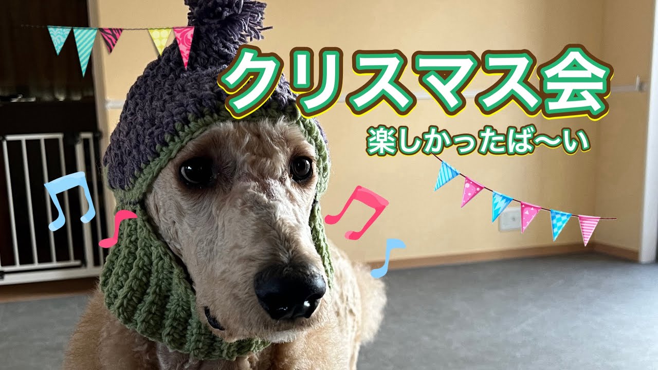 楽しかったクリスマス会🎄