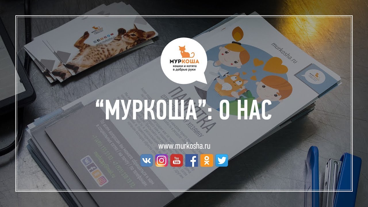 О нас (частный приют для кошек 