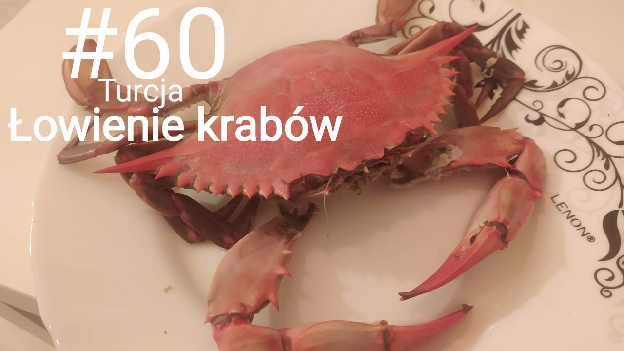Jak złowić kraba ? @czymaszjaja