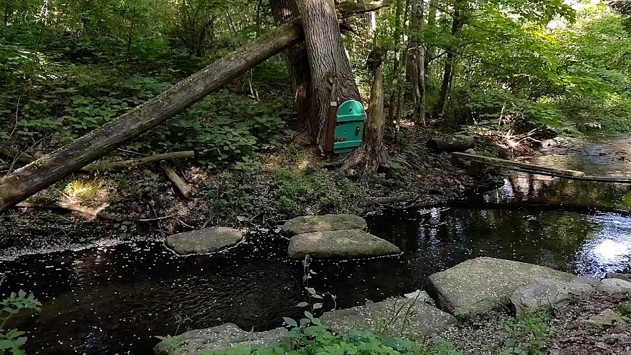 Late Spring On The Land & Cabin Camp