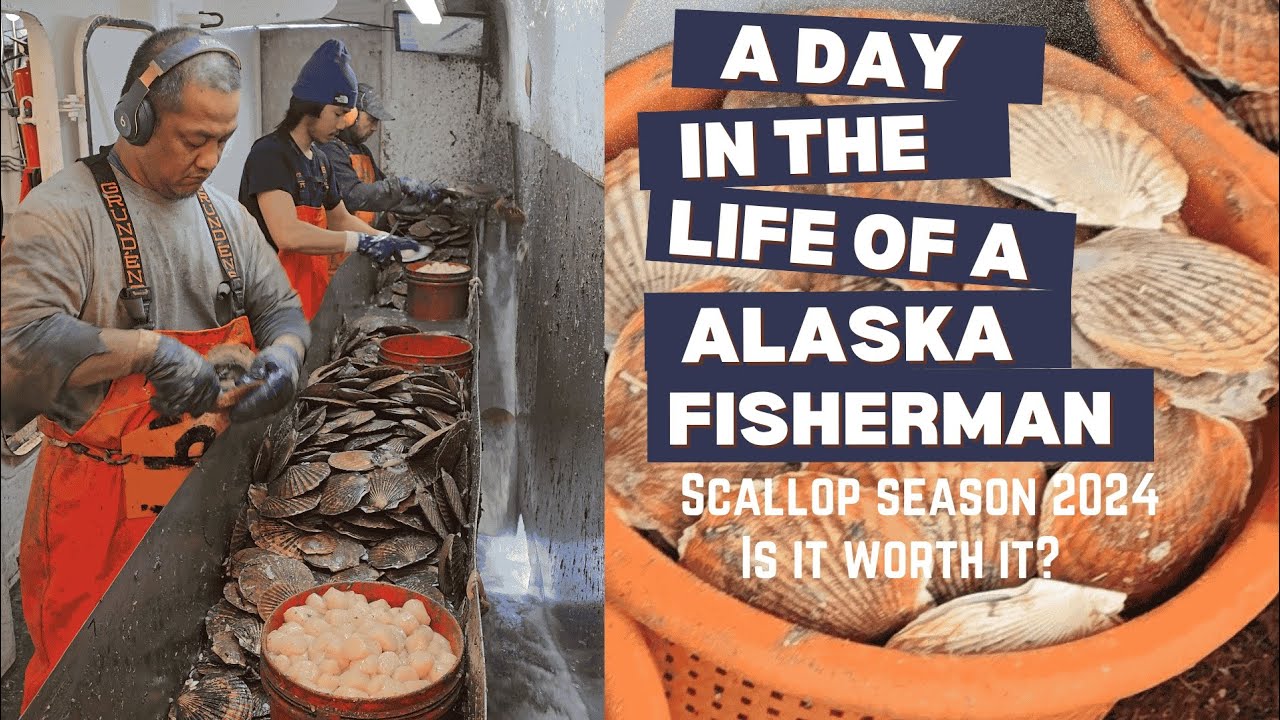 A day in the life of a Alaska Fisherman @highlinerytc