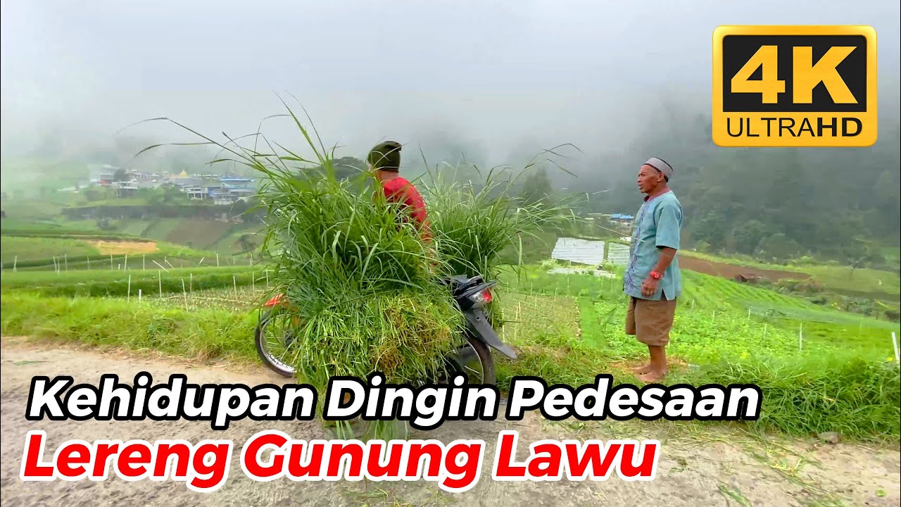 AKTIVITAS PETANI DI DESA DINGIN LERENG GUNUNG