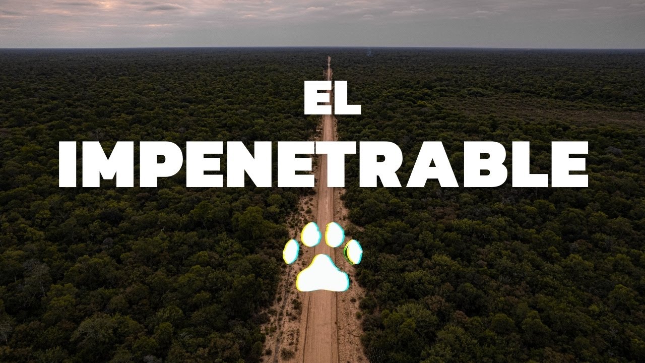 Cómo visitar EL IMPENETRABLE (Chaco) 🐢🐍🐆