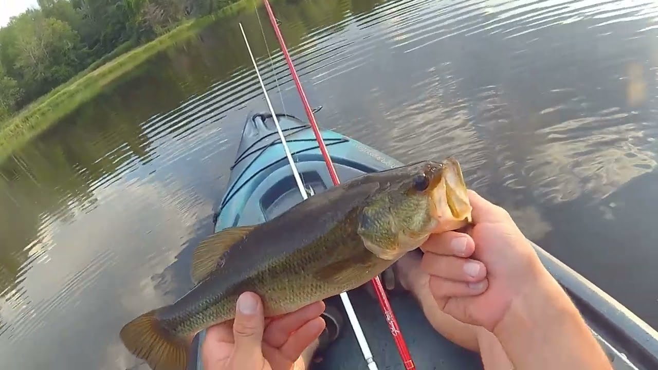 Kayak Fishing a Small Pond in the Finger Lakes 2022
