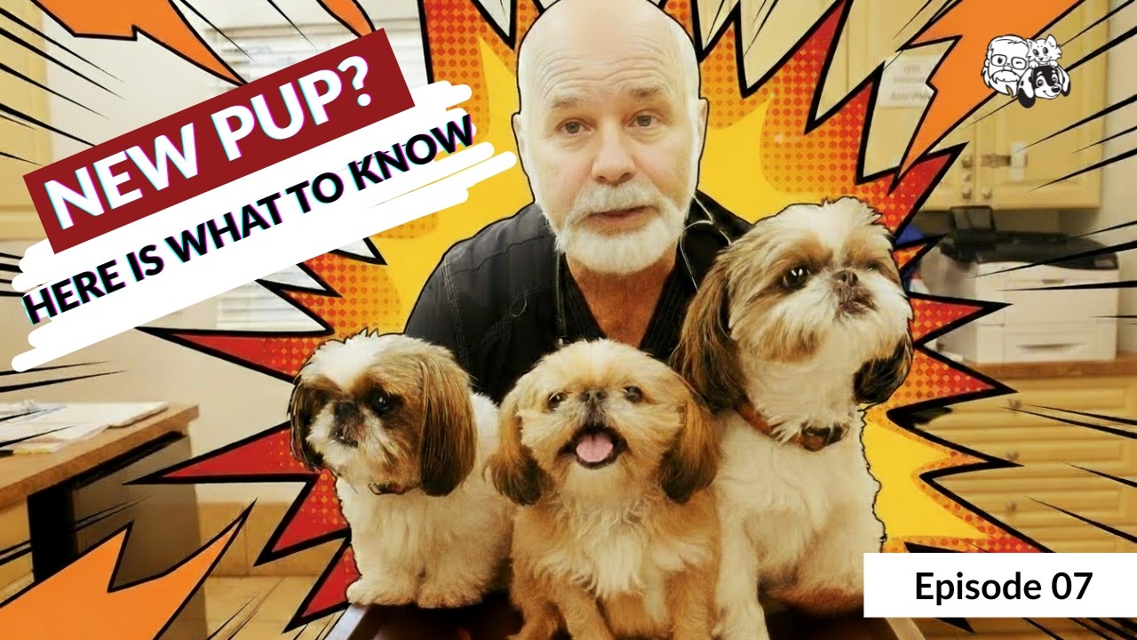 Your Puppy&rsquo;s First Vet Visit: Crate Training, Calm Handling & Essential Care Tips