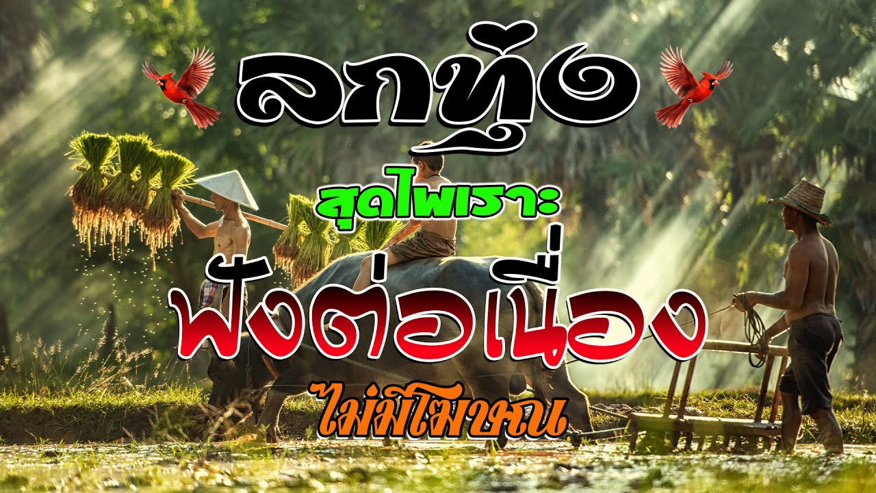 กทุ่งเพราะมาก  ลูกทุ่งเพื่อชีวิตโคตรเพราะ คัดมาพิเศษ ฟังต่อเนื่องหลายเพลง ไม่มีโฆษณา
