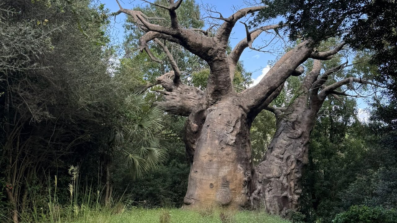 Kilimanjaro Safaris at Walt Disney World Animal Kingdom
