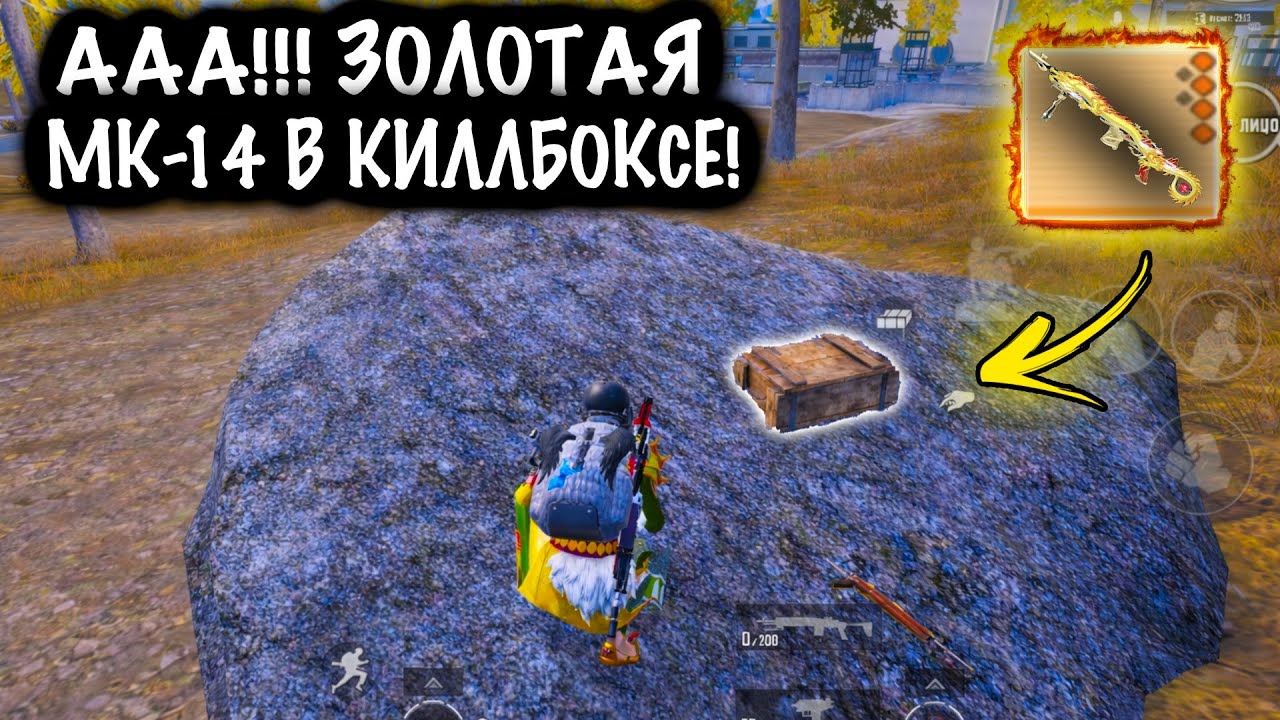 ПОЧЕМУ ОНИ НЕ ЗАБРАЛИ ЗОЛОТУЮ МК-14?! | ШТУРМ 7 КАРТА МЕТРО Рояль | Metro PUBG Mobile