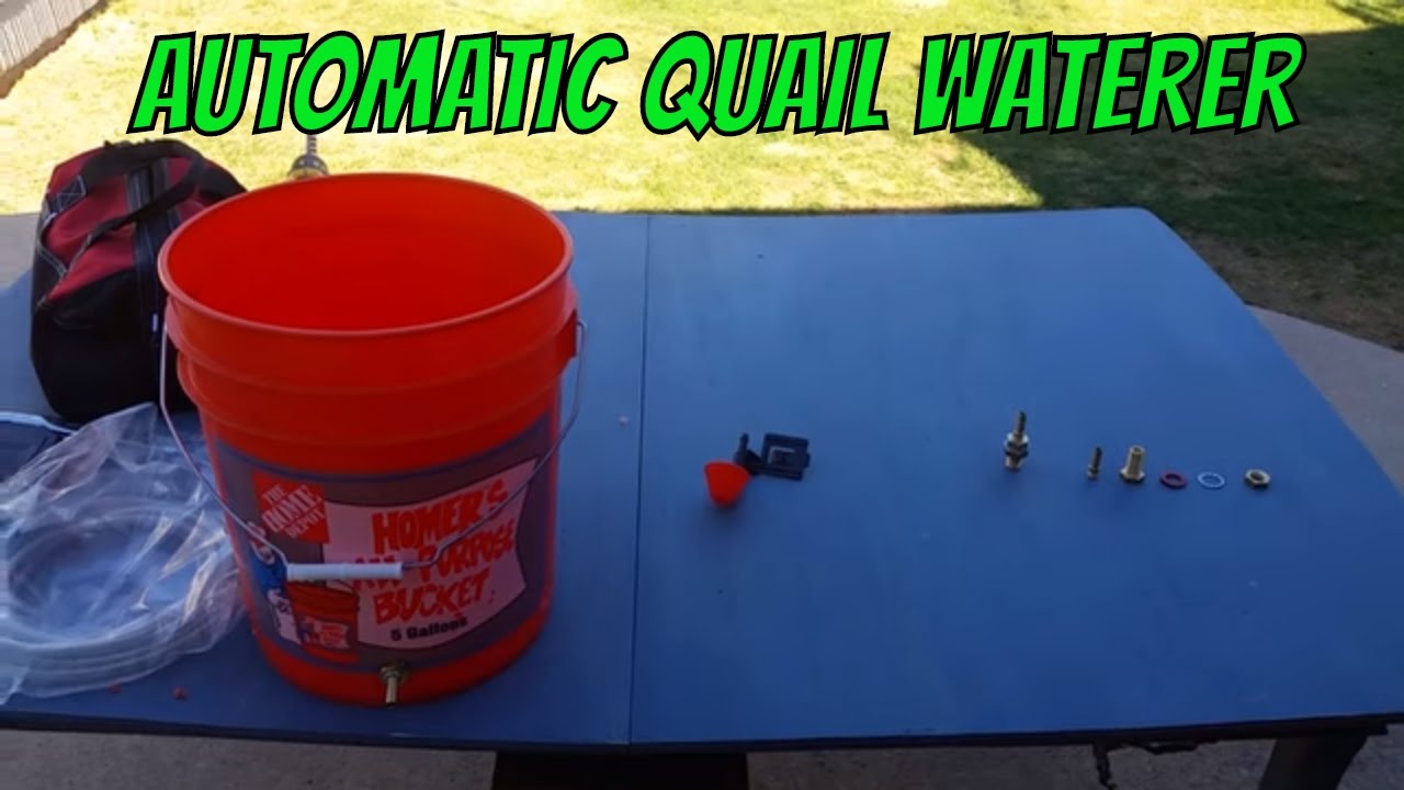 How to make an automatic watering system for Quail