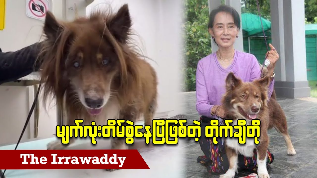 မျက်လုံးတိမ်စွဲနေပြီဖြစ်တဲ့ တိုက်ချီတို (ရုပ်/သံ)