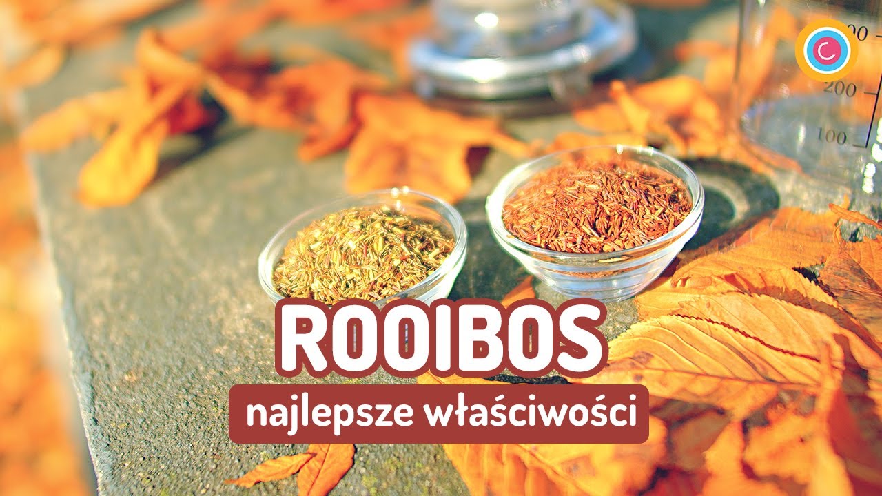 Co daje codzienne picie rooibosa? Właściwości herbatki rooibos