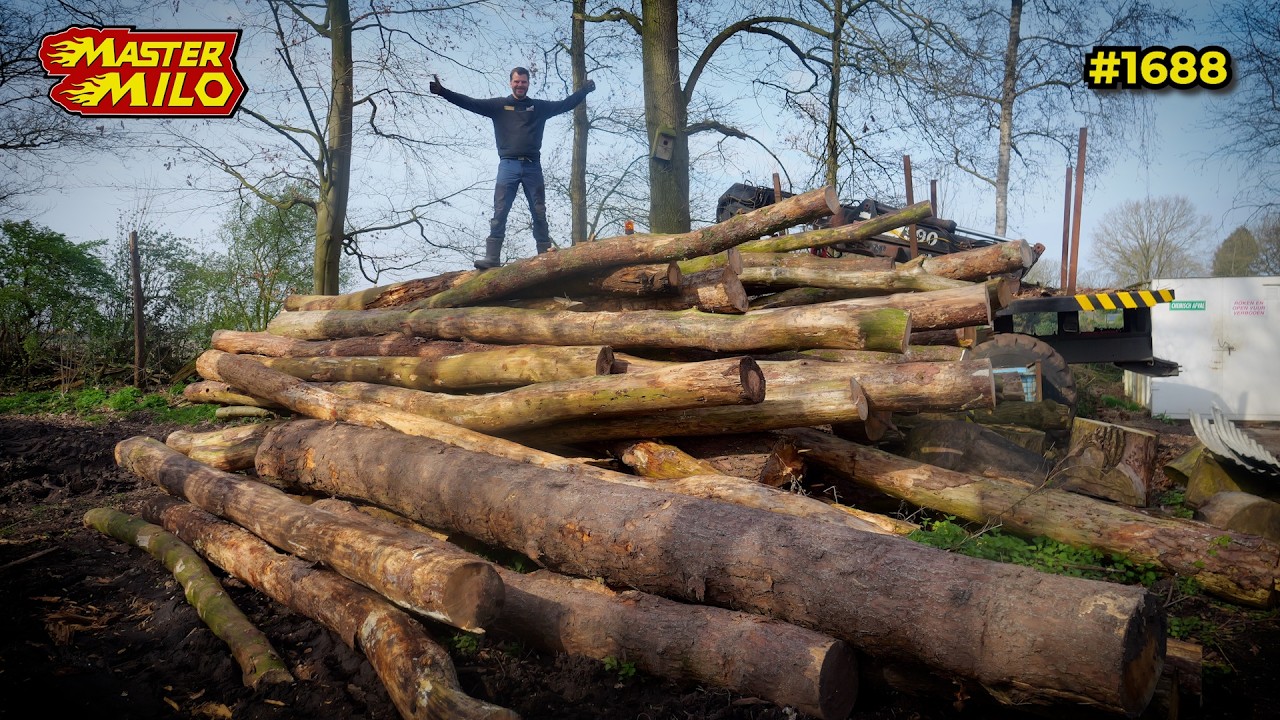 Grote boomstammen lossen met de Bomenwagen! #1688