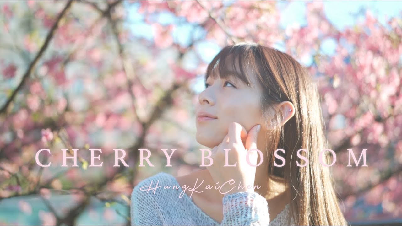 Cherry Blossoms with A7III HLG3 | Cinematic VLOG | 賞櫻之旅