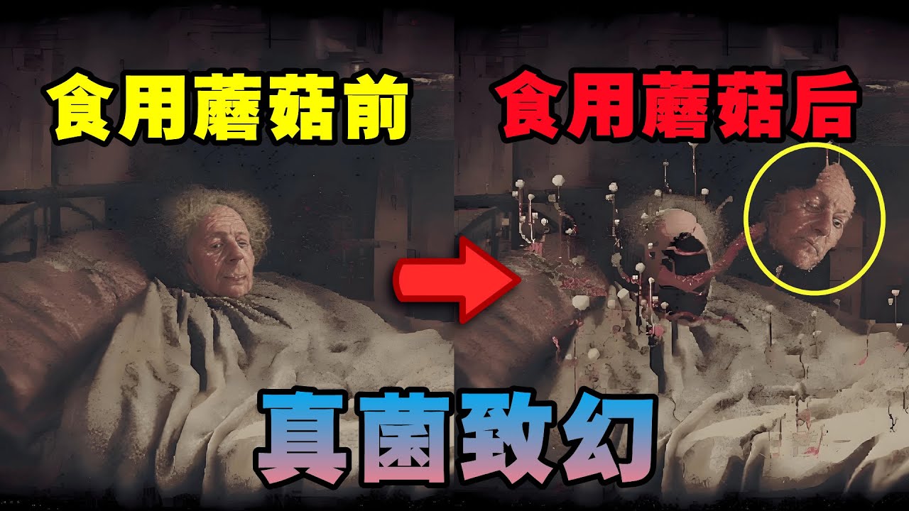 千万不要吃森林中来路不明的蘑菇！吃下它就会被真菌寄生！——【Mucorales】