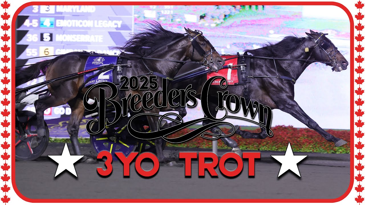2025 Breeders Crown | Mushuggah |3CT