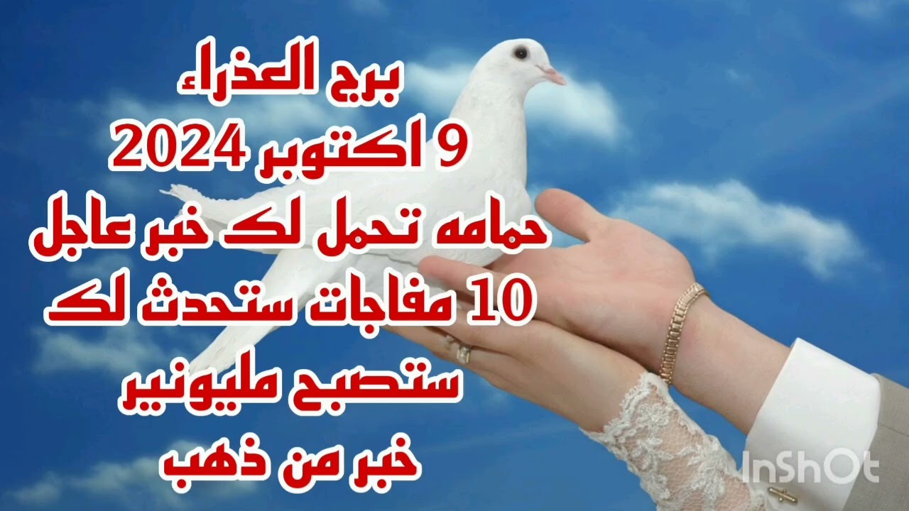 برج العذراء 9 اكتوبر 2024//حمامه تحمل لك خبر عاجل 💫 10 مفاجات ستحدث لك 🤑 ستصبح مليونير