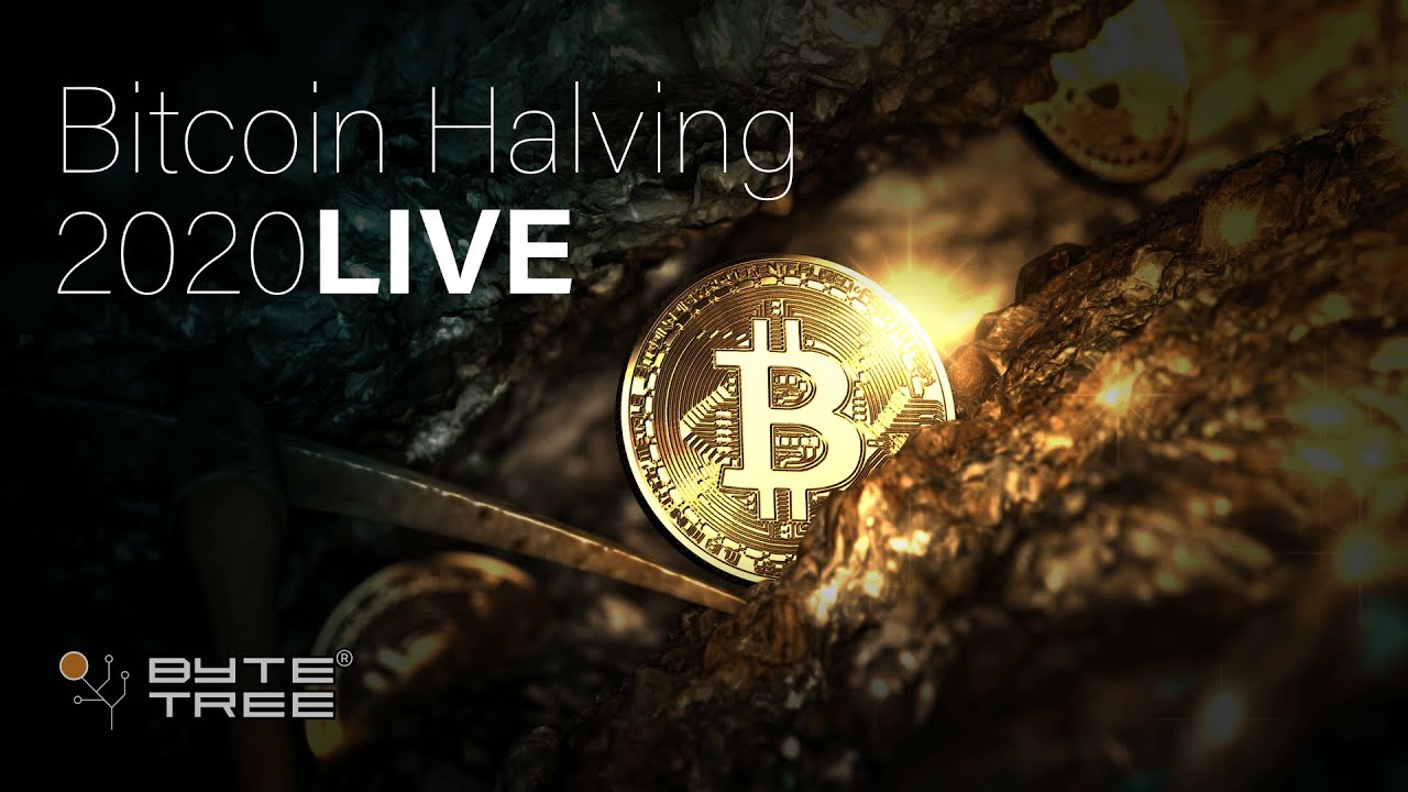 ByteTree: Bitcoin Halving Live 2020