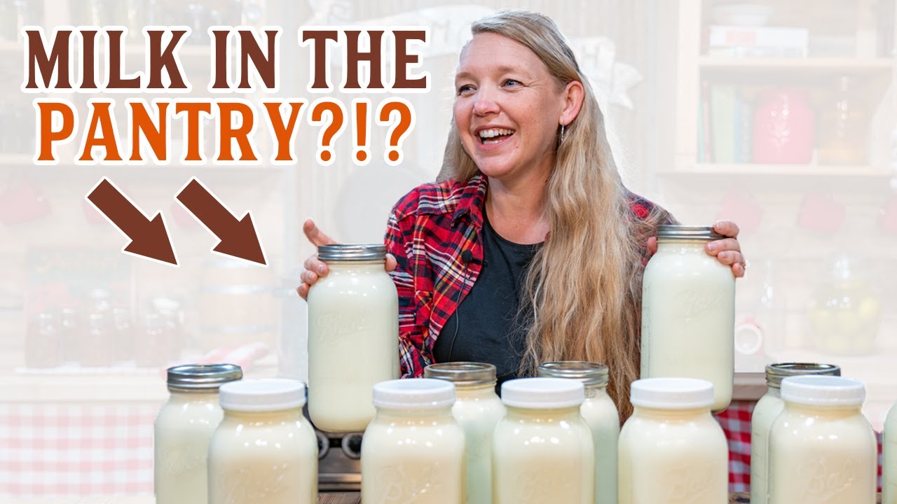 What I Do with TOO MUCH Raw MILK (Preserve Your Dairy for WINTER!)