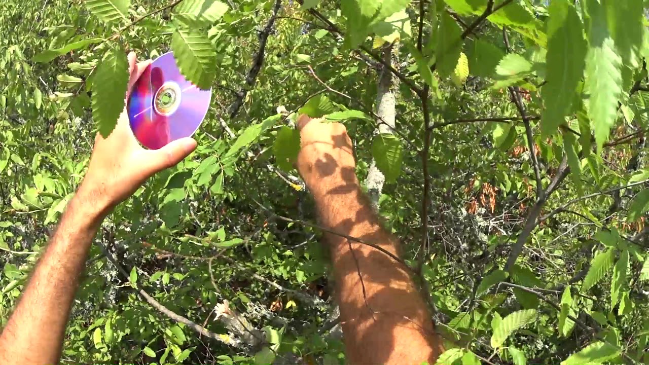 M-DISC Тест II этап. Закладка