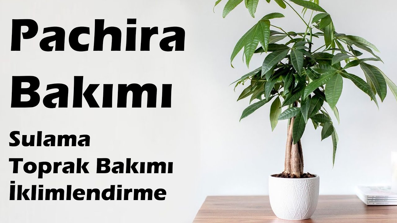 #CoşkunAkademi
