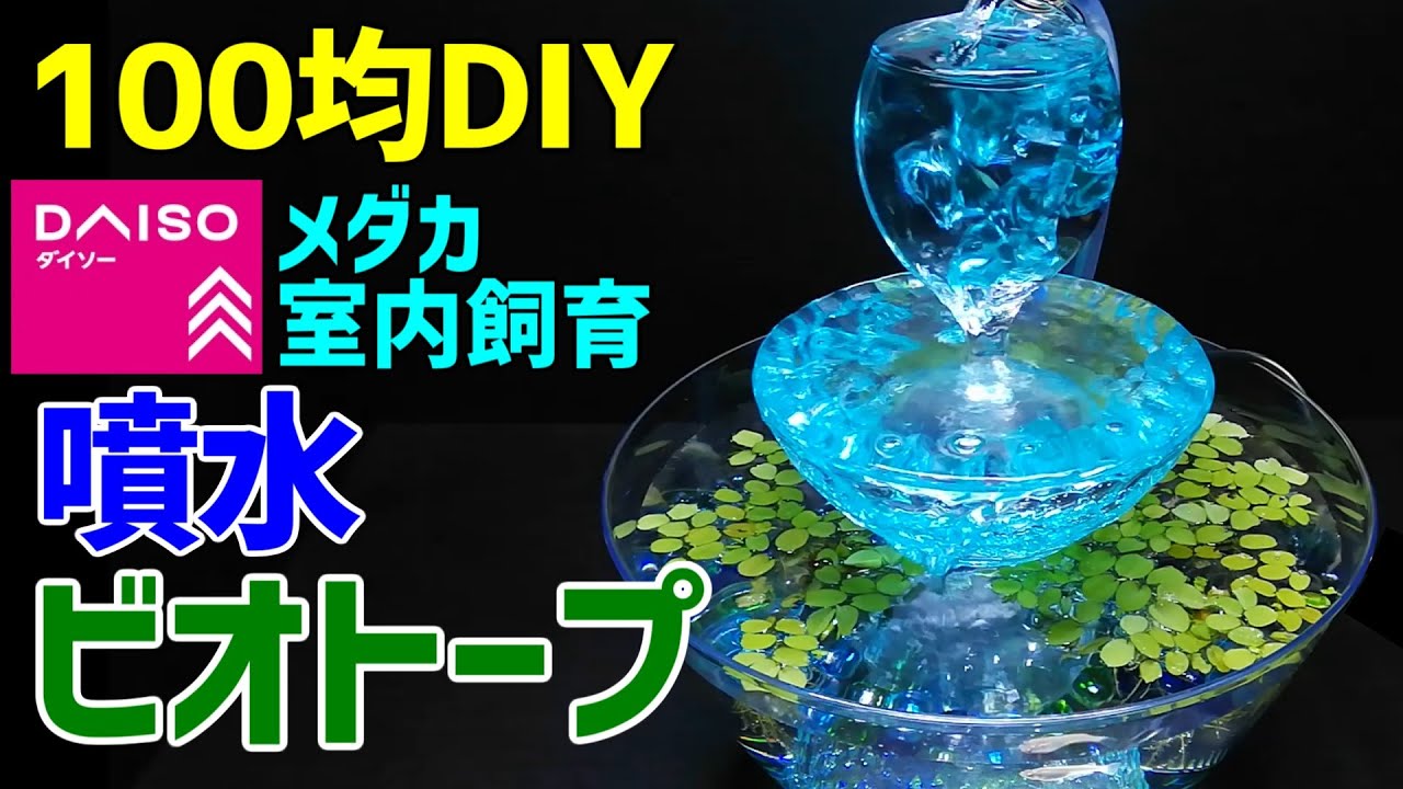 メダカの【噴水ビオトープ】作り方100均DIY! メダカ室内飼育 卓上ビオトープ作成～How to Make Tabletop Waterfall Fountain Biotope～